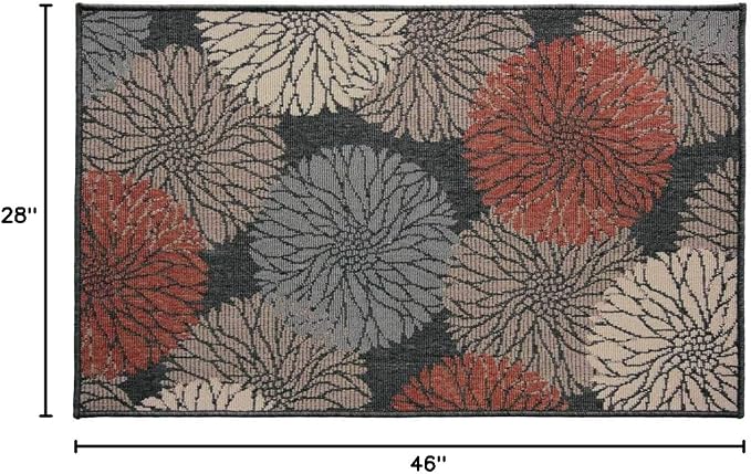 Pilgrim Home And Hearth 19648-1 Area Rugs, 46" x 28", Beautiful