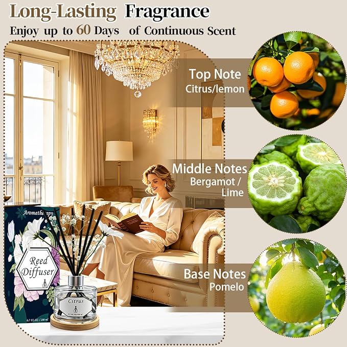 Citrus Reed Diffuser - 5.9 fl oz - Fragrance for Up to 90 Days - Reusable, Refillable Glass Holder - Includes 8 All-Natural Reed Sticks - Flame Free