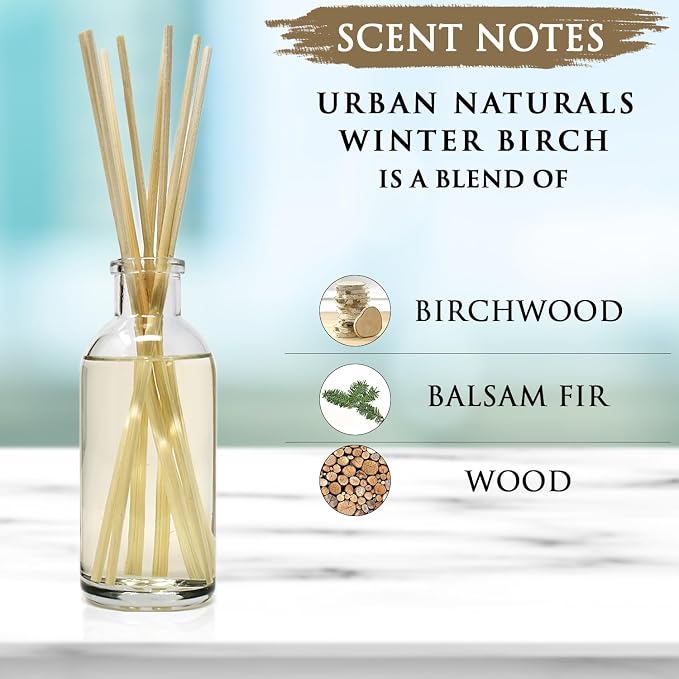 Reed Diffuser Set, Winter Birch - Bathroom Shelf Décor | Birch Wood & Balsam Scented Oil with Bamboo Reed Sticks, Great Holiday Home Fragrance Air Freshener for the Living Room