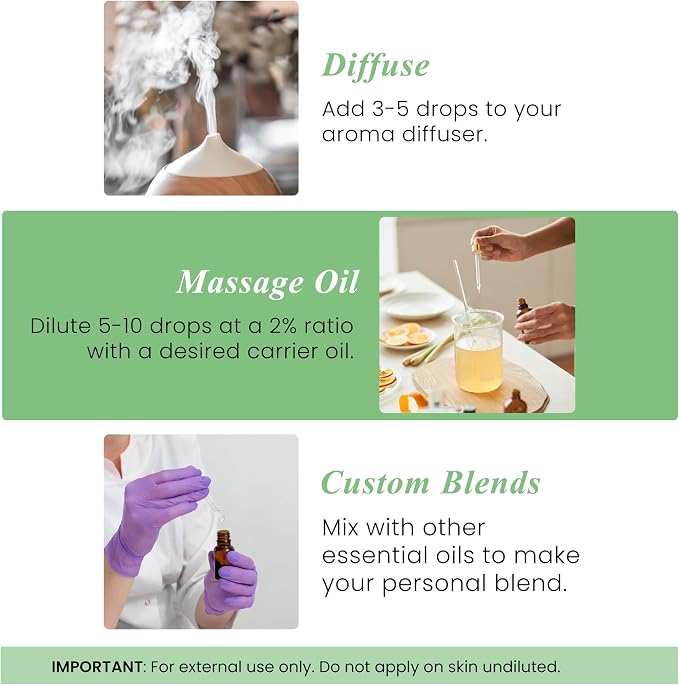 Handcraft Blends Basil Essential Oil – 1 Fl Oz – 100% Pure and Natural – Premium Grade Essential Oil for Diffuser and Aromatherapy, Skin, Massage, Candle and Soap Making Fragrance