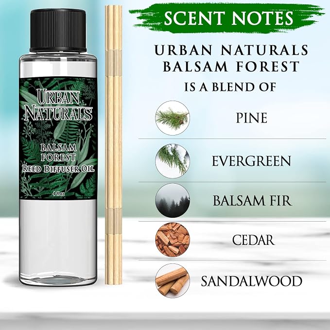 Reed Diffuser Set, Balsam Forest - Bathroom Shelf Décor | REAL Juniper and Pine cones, Fragrance notes of Fraser Fir, Evergreen, Pine, Woodsy Cedar and Sandalwood, Vegan