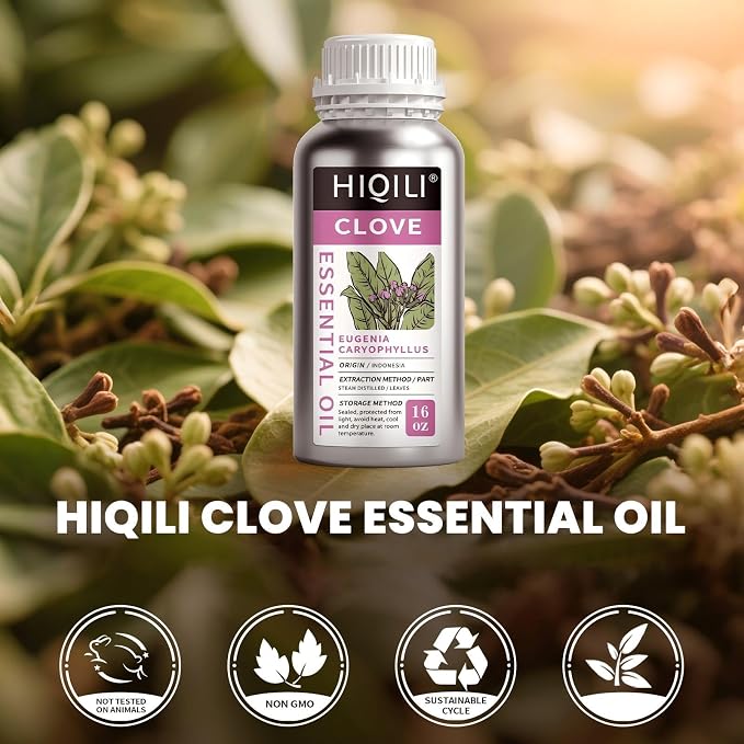 HIQILI Clove Essential Oil for Diffusers for Home, DIY, Large Capacity | Large volume ideal for soap making and cleaning solutions, A professional choice for creative projects - 500ml / 16.9 fl oz