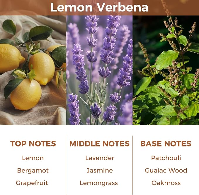 Reed Diffuser Set,Lemon Verbena Essential Scented Oil | 100ml(3.38 oz) with 6 Reed Sticks,Long-Lasting Fragrance for Home, Bathroom & Office