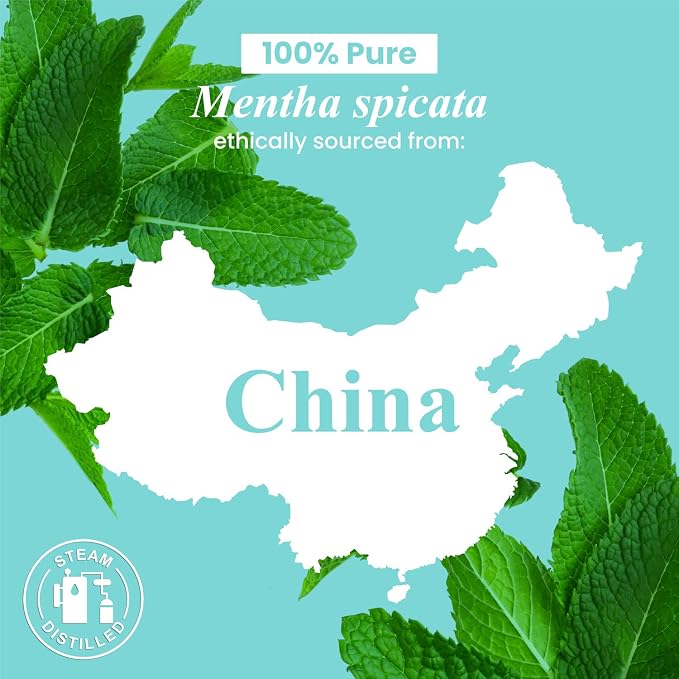 Handcraft Blends Spearmint Essential Oil – Huge 4 Fl Oz – 100% Pure and Natural – Premium Grade Essential Oil for Diffuser and Aromatherapy, Skin, Massage, Candle and Soap Making Fragrance