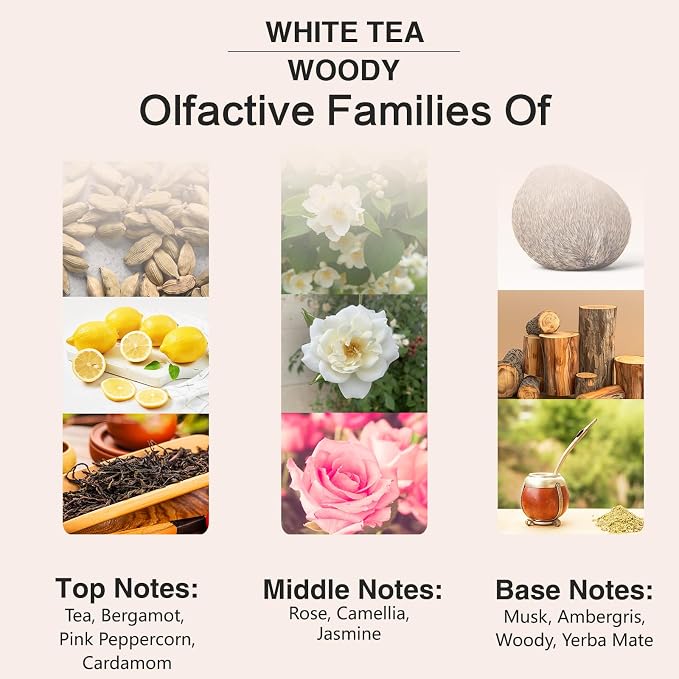 PHATOIL White Tea Fragrance Oil for Diffuser Aromatherapy 3.38FL.OZ | Long Lasting Scented Oils For Humidifier, Air Freshener, DIY Soap Candle, Scent Project Making, Aroma Oil for Home Freshening