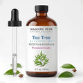 Majestic Pure Tea Tree Essential Oil for Diffuser - 2 Fl Oz | 100% Pure & Natural Ideal for diffuser use, aromatherapy, massage, soap making, candle making home fragrance