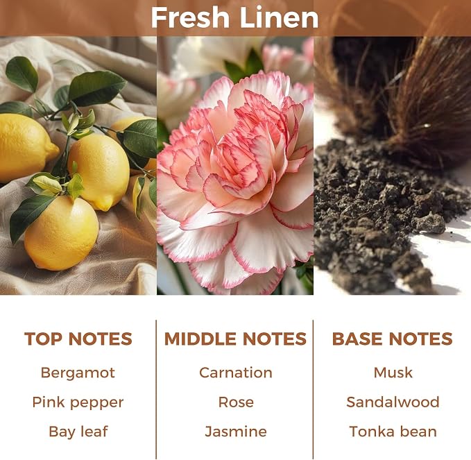 Fresh Linen Scented Oil Diffuser Set,100ml with 6 Reed Sticks | Reed Diffuser for Home,Office & Bathroom,Long-Lasting Aroma for Families,Professionals & Pet-Friendly Spaces