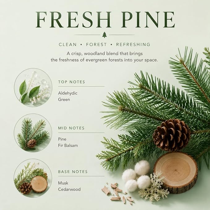 Reed Diffuser Set,3.38 fl oz (100 ml) - Fresh Pine Oil Diffusers with 8 Reed Sticks, Home Fragrance Reed Diffuser for Bathroom Shelf Decor