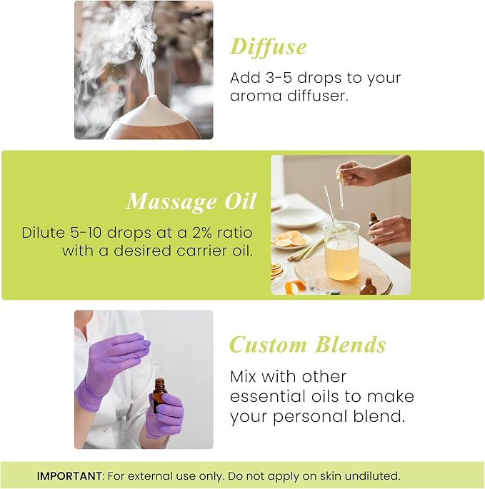 Handcraft Blends Lime Essential Oil – 1 Fl Oz – 100% Pure and Natural – Premium Grade Essential Oil for Diffuser and Aromatherapy, Skin, Massage, Candle and Soap Making Fragrance