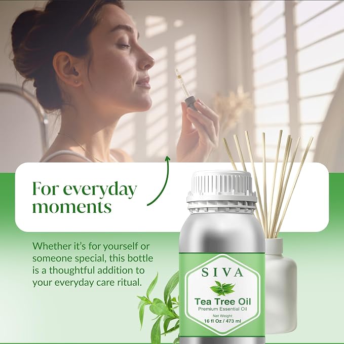 Siva Tea Tree Essential Oil, Huge Bottle, Large Size, 16 Fl Oz (473 ml) | Tea Tree Oil for Hair Care, Scalp Care, Face Care, Skin Care, Nail Care, Diffuser, Humidifier, Soap Making & DIY Blending