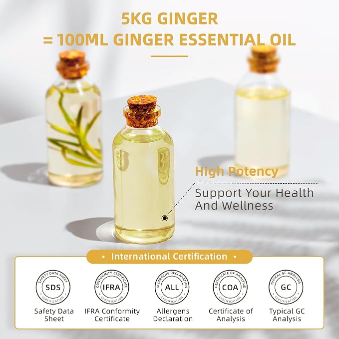 HIQILI Ginger Oil for Hair, Massage & Skin | Large Bottle for Extended Use, Body & Scalp, Soothes Tired Muscles after Activity, DIY Blends & Diffuser - 500mL / 16 fl oz