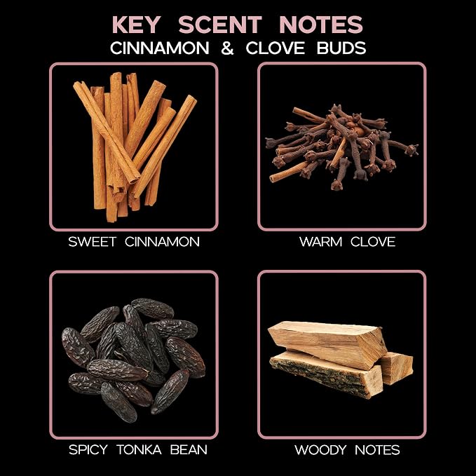 Reed Diffuser Set - Cinnamon & Clove Buds Scented Diffuser with Sticks | Autumn Fall Home Fragrance Reed Diffuser for Bedroom, Bathroom Shelf Décor, Real Spices in the Bottle - Made in the USA