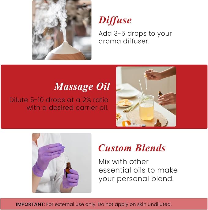 Handcraft Blends Wintergreen Essential Oil – 1 Fl Oz – 100% Pure and Natural – Premium Grade Essential Oil for Diffuser and Aromatherapy, Skin, Massage, Candle and Soap Making Fragrance
