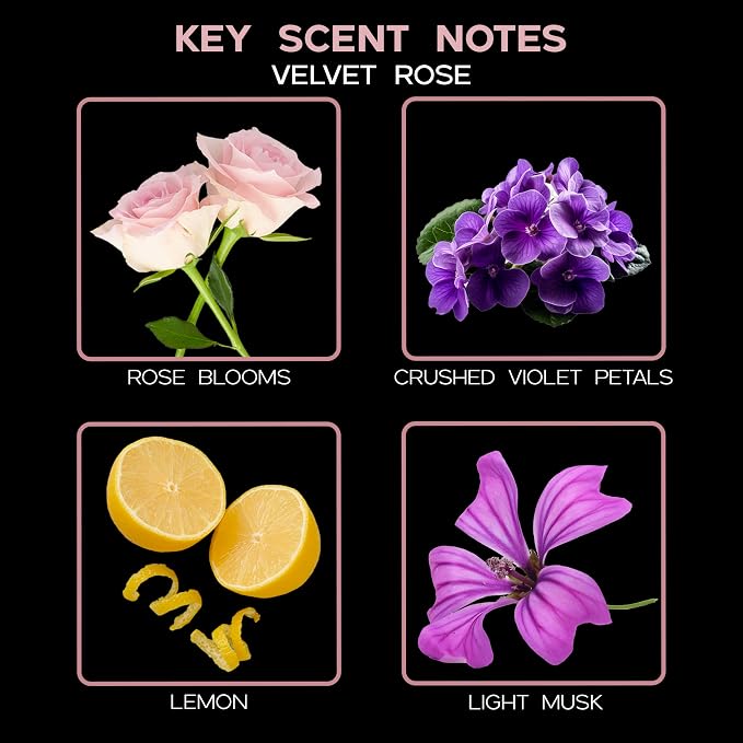 Reed Diffuser Set - Velvet Rose Scented Diffuser with Sticks | Home Fragrance Reed Diffuser for Bedroom, Bathroom Shelf Décor, with Real Florals in the Bottle - Made in the USA
