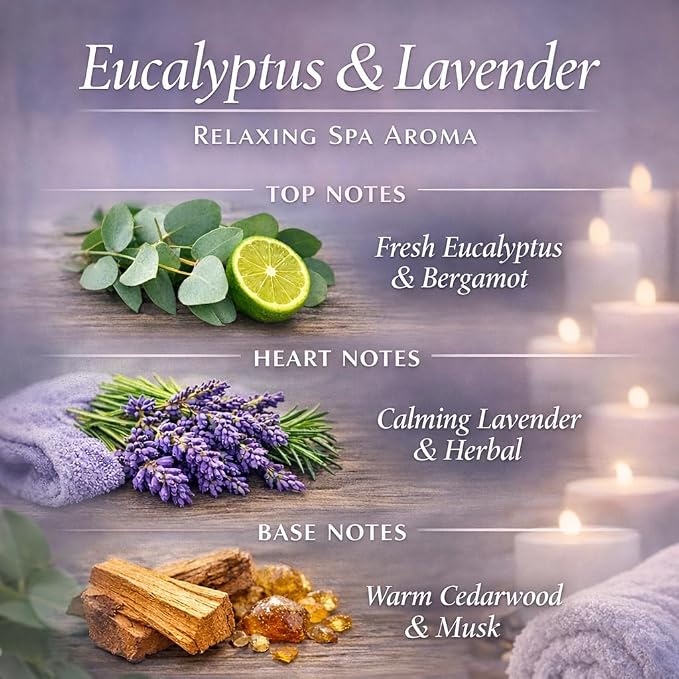 Eucalyptus & Lavender Reed Diffuser, 3.34 Fl Oz | Calming Scent; Long-lasting for 12 Weeks for Bedroom, Bathroom, Living Room or Office; Gift-ready.