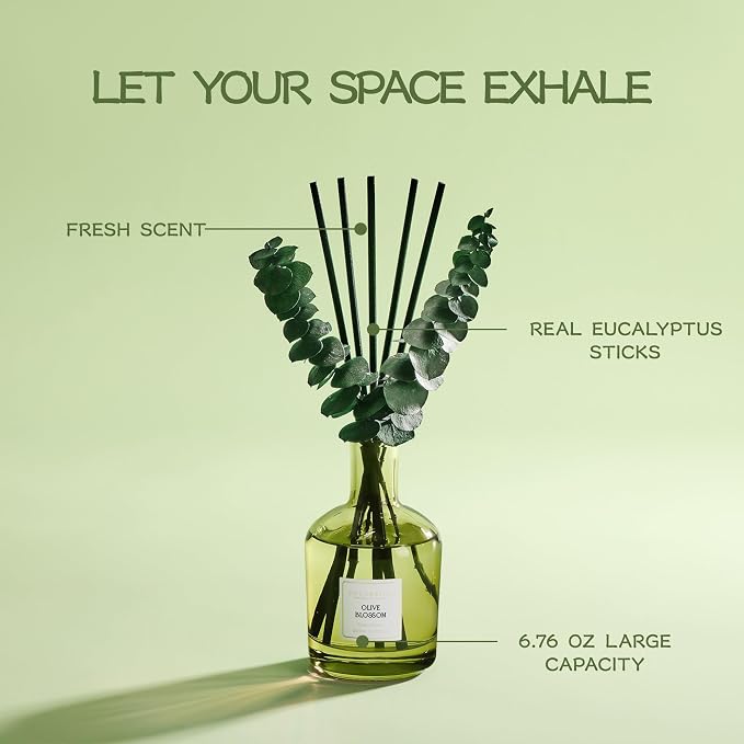 Olive Blossom Reed Diffuser, 6.76 oz | Real Dried Eucalyptus Leaves, 8 Reeds, Long-Lasting Essential Oil, Home Fragrance, Bedroom or Bathroom Décor