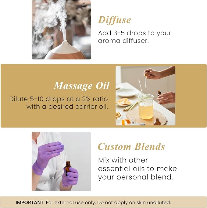 Handcraft Blends Ginger Essential Oil – 1 Fl Oz – 100% Pure and Natural – Premium Grade Essential Oil for Diffuser and Aromatherapy, Skin, Massage, Candle and Soap Making Fragrance