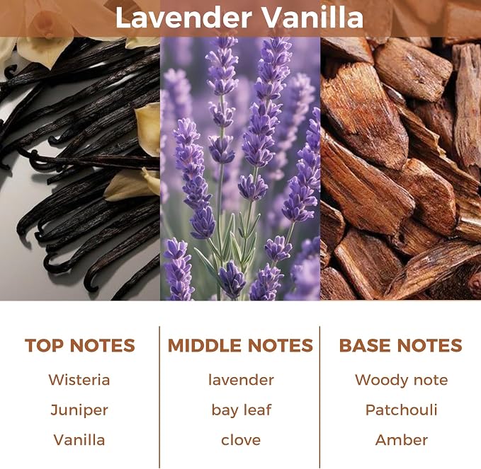Reed Diffuser Set,100ml(3.38oz)，Lavender Vanilla | Essential Oil Diffuser with 6 Sticks,Home Fragrance for Bedroom,Living Room,Bathroom,Perfect Home Decor Gift