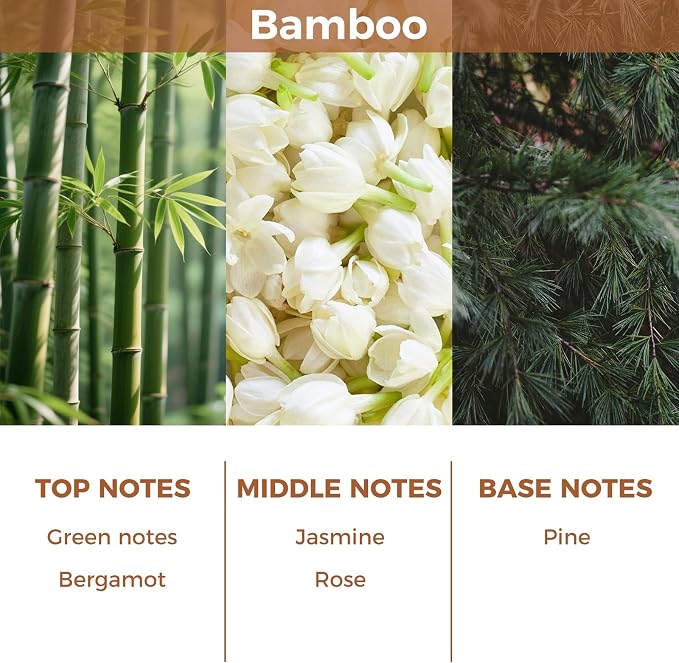 Bamboo Reed Diffuser Set,100ml Scented Oil Diffuser
