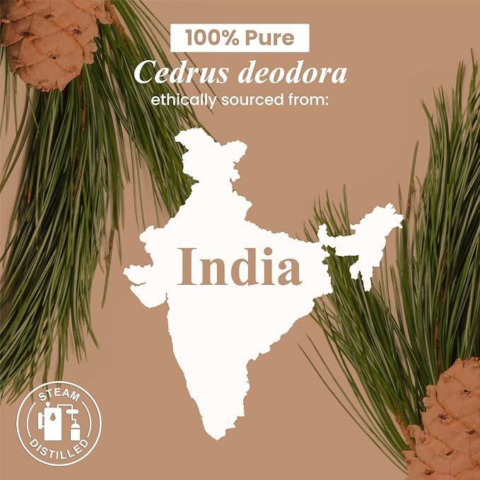 Handcraft Blends Cedarwood Essential Oil – Huge 4 Fl Oz – 100% Pure and Natural – Premium Grade Essential Oil for Diffuser and Aromatherapy, Skin, Massage, Candle and Soap Making Fragrance