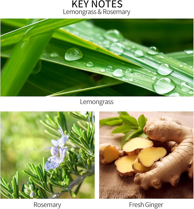 Reed Diffuser, Lemongrass Rosemary Fresh Ginger Scented Oil Refill | 6.8 Fl Oz (200ml) Essential Oil Diffuser with Diffuser Sticks for Bathroom, Elegant Fragrance for Room Decor