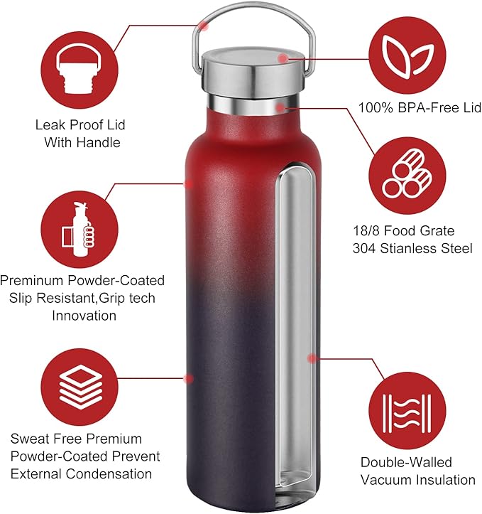 Neihepal 20 oz Insulated Water Bottles Bulk 2 Pack,Stainless Steel Double Wall Sport Bottle with Lid of Handle,Metal Reusable Thermoses Flask for School,Cyclists,Hikers,Gift (Dark Rainbow,Set of 2)