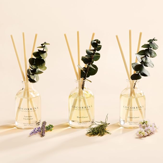 Reed Diffuser Set of 3 with Dried Eucalyptus for Home & Office | Lavender Eucalyptus/Black Forest/Clean Cotton Scents, Aromatherapy Scented Oil Diffusers, 1.7 oz Each, Total 5.1 oz