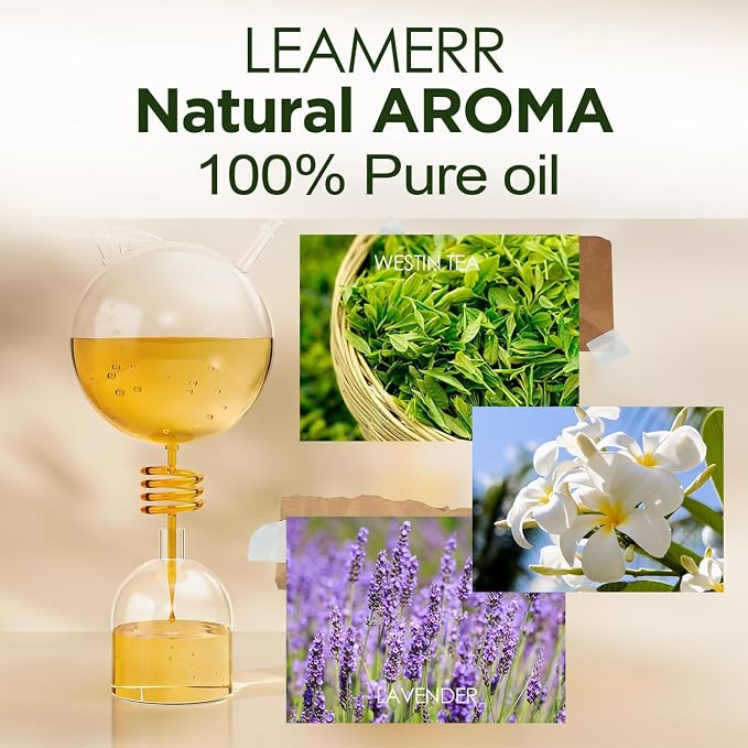 Lavender Reed Diffusers for Home, 4 oz (120mL) Aromatherapy for Relaxation & Air Freshener. Perfect for Home, Bathroom, Office & Room Decor, Calming Botanical Scent