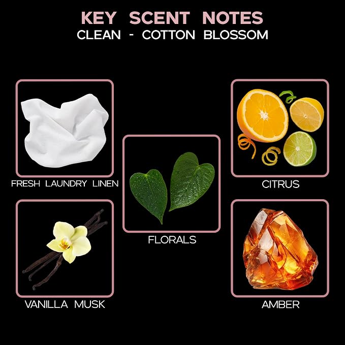 Reed Diffuser Set - Clean Cotton Blossom Scented Diffuser with Sticks | Fresh Laundry Home Fragrance Reed Diffuser for Bedroom, Bathroom Shelf Décor, with Real Botanicals in the Bottle