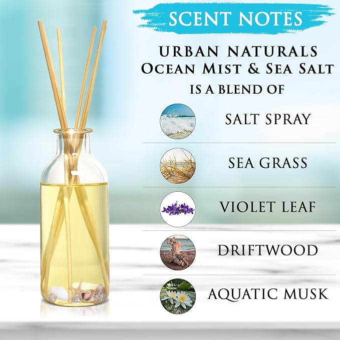 Reed Diffuser Set, Ocean Mist & Sea Salt - Bathroom Décor | Made with Essential Oils & Real Seashells, Decorative Air Freshener Room Diffuser