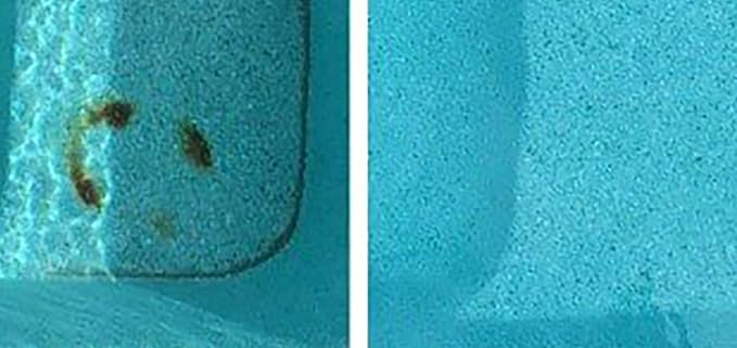 Pool Pumice Stone with EZ-Clip Handle to Reomve Erase Rust Stain Spot in Concrete Plaster Pool Spa and Calcium Deposit on Pool Tile