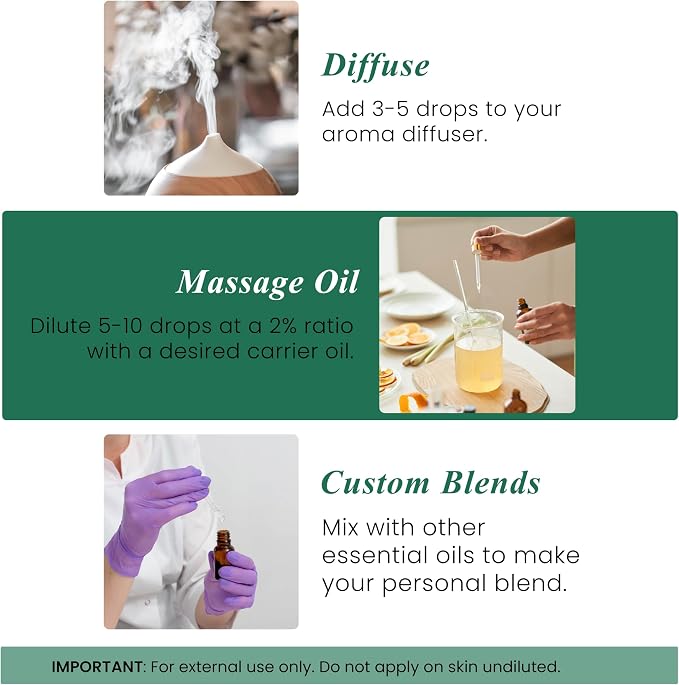 Handcraft Blends Pine Essential Oil – 1 Fl Oz – 100% Pure and Natural – Premium Grade Essential Oil for Diffuser and Aromatherapy, Skin, Massage, Candle and Soap Making Fragrance