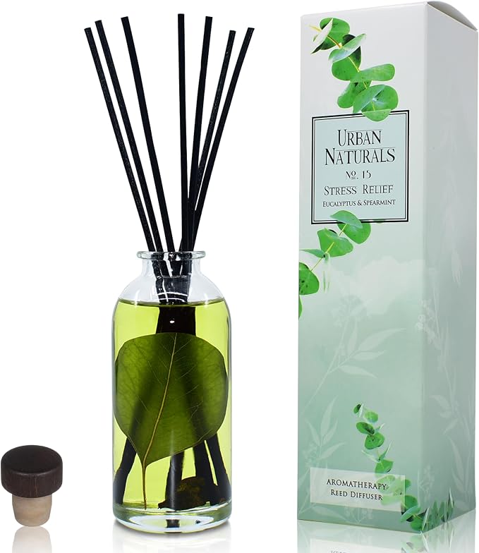 Reed Diffuser Set, Eucalyptus Spearmint - Stress Relief | Fragrance your Space, Fresh Scented Room Freshener and Home Decor, Home Gift Idea. Vegan