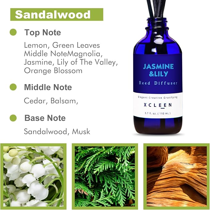 Xcleen Reed Diffuser Set- Jasmine & Lily Scented Diffuser with 6 Rattan Sticks, Long Lasting Reed Diffusers for Home Bathroom Shelf Decor-3.7oz