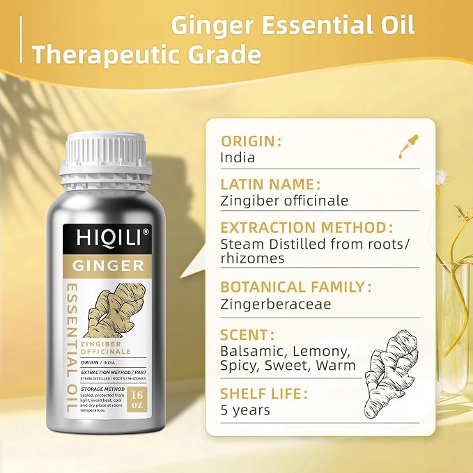 HIQILI Ginger Oil for Hair, Massage & Skin | Large Bottle for Extended Use, Body & Scalp, Soothes Tired Muscles after Activity, DIY Blends & Diffuser - 500mL / 16 fl oz