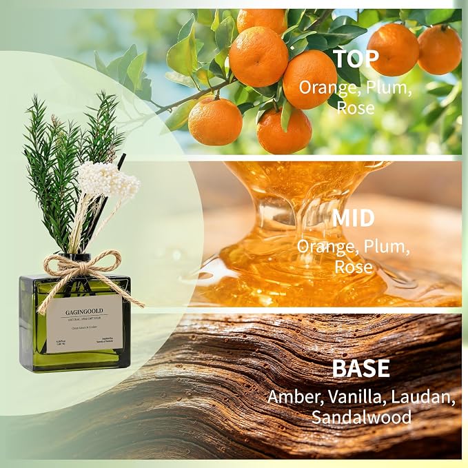 Reed Diffuser, 6.1 oz Clean Linen & Amber Scent Diffuser with Sticks & Dried Flowers, 120 Days Long Lasting diffusers for Home, Elegant Fragrance for Bathroom Bedroom Office Decor Air Fresh