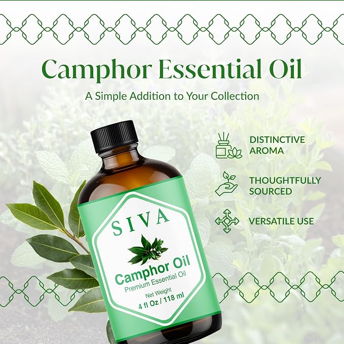 Siva Camphor Essential Oil, Glass Bottle with Dropper, 4 Fl Oz (118 ml) | Camphor Oil for Diffuser, Humidifier, Steam, Spray, Body Massage, Hair, Skin, Soap Making, Candle Making & DIY Blending