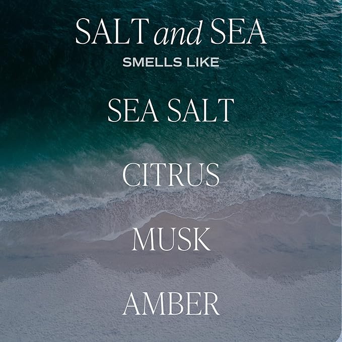 Sweet Water Decor Salt and Sea Reed Diffuser - Sea Salt, Citrus, Musk & Amber Scent - Long-Lasting 4 Month Home Fragrance, Non-Toxic, Aesthetic Home & Bathroom Decor, Made in USA, 3.5 Fl Oz