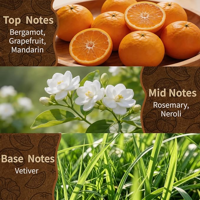 Reed Diffuser Set, Citrus Grove Scent Diffuser with 10 Sticks & Decorative Flower, Long Lasting Diffusers for Home Fragrance, Vintage Decor for Bathroom Bedroom Office Shelf, 5 Fl.oz