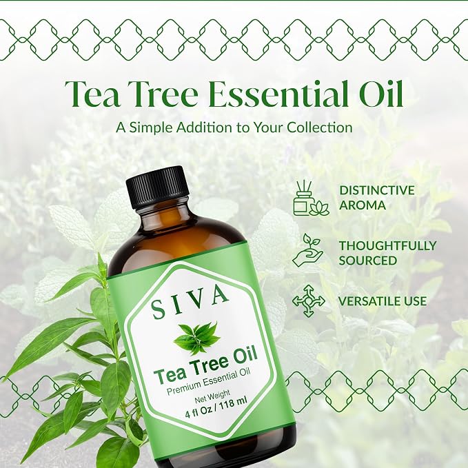 Siva Tea Tree Essential Oil, Glass Bottle with Dropper, 4 Fl Oz (118 ml) | Tea Tree Oil for Hair Care, Scalp Care, Face Care, Skin Care, Nail Care, Diffuser, Humidifier, Soap Making & DIY Blending