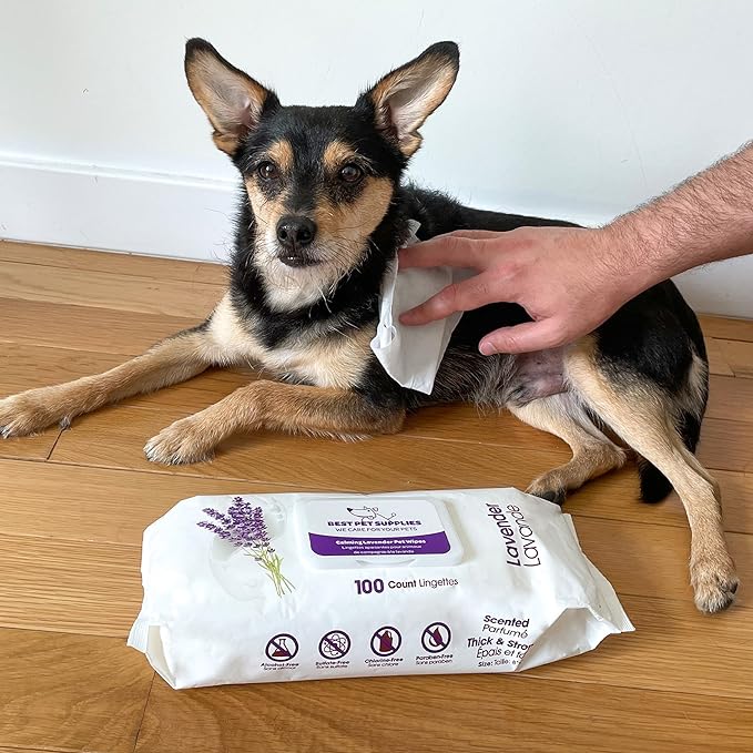Best Pet Supplies Pet Grooming Wipes for Dogs & Cats,Deodorizer for Coats & Dry, Itchy, or Sensitive Skin, Clean Ears, Paws, Body, & Butt - Calming Lavender, 400 Count