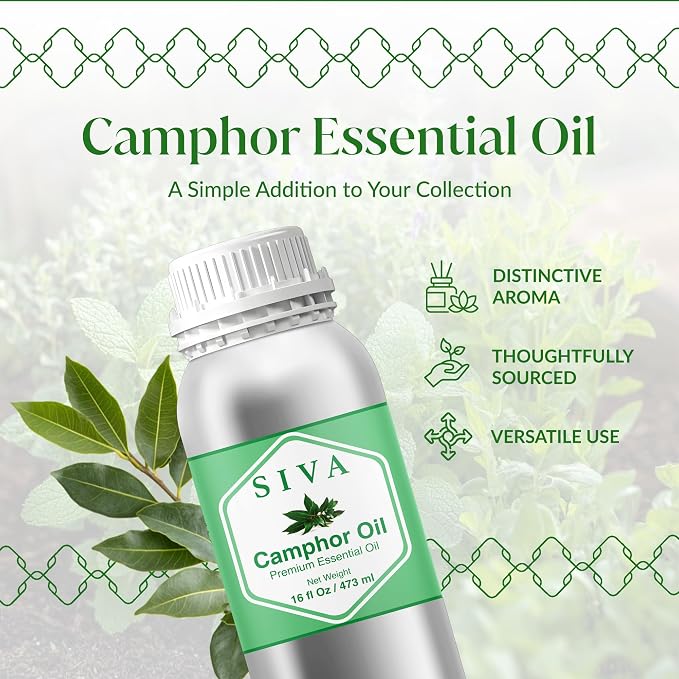 Siva Camphor Essential Oil, Huge Bottle, Large Size, 16 Fl Oz (473 ml) | Camphor Oil for Diffuser, Humidifier, Steam, Spray, Body Massage, Hair, Skin, Soap Making, Candle Making & DIY Blending