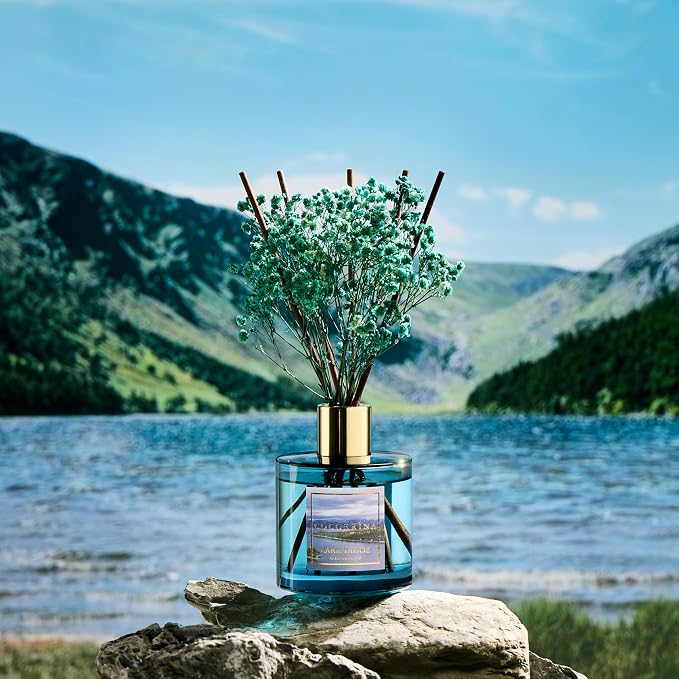 Reed Diffuser - Lake Tahoe 6.7 Fl.oz Reed Diffuser Set with 8 Sticks & Preserved Baby's Breath, Reed Diffuser for Home Bathroom Shelf Decor