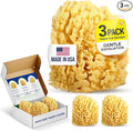 Baby Buddy Baby Bath 4in Yellow Sea Sponge, Absorbent Natural Sea Sponge, Soft on Tender Skin, Biodegradable, Hypoallergenic, Bath Accessories for Bathing, 3 Pack