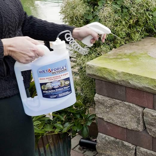 Wet & Forget Outdoor Cleaner & Stain Remover - Mold, Mildew & Algae, 64oz