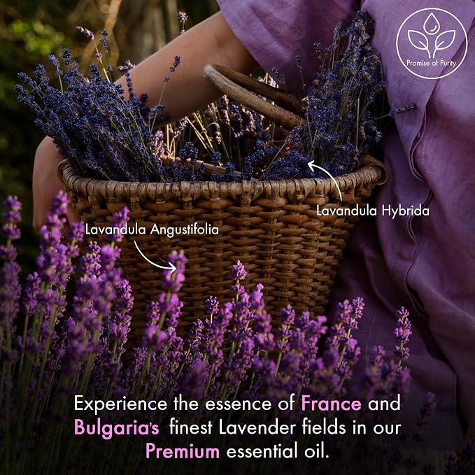 Majestic Pure Lavender Essential Oil for Diffuser - 2 Fl Oz | 100% Natural Tea Tree Oil for diffuser blends, candle making, wax melts, soap making, massage, Air Freshening