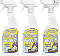 Grandma's Secret Laundry Spray - Chlorine, Bleach and Toxin-Free Fabric Stain Remover for Clothes - Removes Oil, Paint, Blood and Pet Stains - 16 Oz, 3 Pack