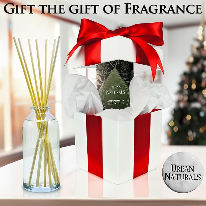 Reed Diffuser Set, Vanilla Lime - Bathroom Shelf Décor | Made with Essential Oils, Zesty Lime, Sweet Cane Sugar, Creamy Vanilla & Tonka Bean, Made in the USA