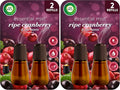 Air Wick Essential Mist – Twin Refill Ripe Cranberry & Currants,2 Refills,(Pack of 2)