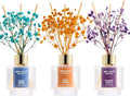 Reed Diffuser Set of 3, Ocean Breeze Sweet Orange Cashmere Vanilla Oil Reed Diffusers for Bedroom Living Room Office Aromatherapy Oil Reed Diffuser for Gift 50ml x 3